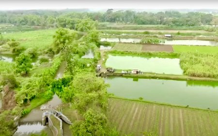 Mengenal Desa Rejoagung, Potensi Desa Meningkat Setelah Program Penataan Akses Reforma Agraria