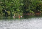 Kerang Danau Dampelas Dapat Dimakan,  Peluang Ekonomi Warga Desa Talaga