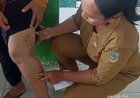 Tiga Warga Meninggal, Parimo Tetapkan KLB Rabies
