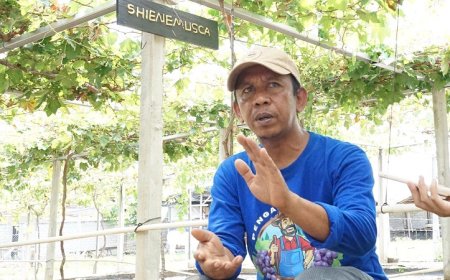 Cerita Petani Anggur Duyu Bangkit: Reforma Agraria Tak Hanya Soal Tanah, tapi Juga Kemandirian