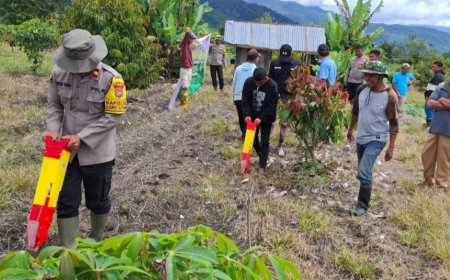 Polsek Lore Utara dan Bumdes Watumaeta Tanam Jagung