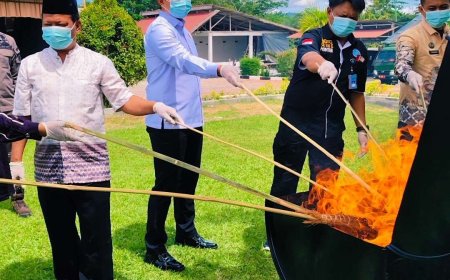 Kejari Touna Musnahkan  Babuk 14 Perkara Pidum