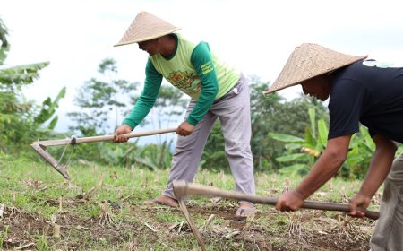 Konflik Belasan Tahun Berakhir, Sertipikat Redistribusi Tanah Buka Jalan Pemulihan Ekonomi Desa Soso