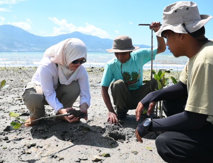 PT IMIP Gandeng Generasi Muda Tanam Mangrove di Teluk Palu