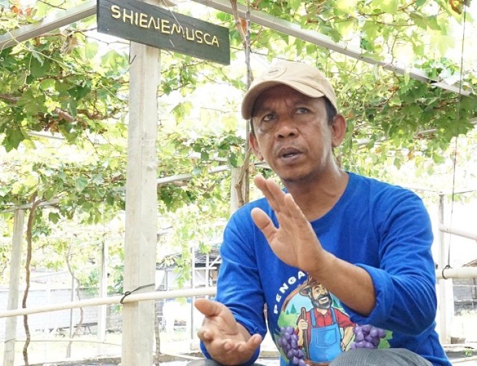 Cerita Petani Anggur Duyu Bangkit: Reforma Agraria Tak Hanya Soal Tanah, tapi Juga Kemandirian