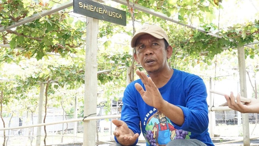 Cerita Petani Anggur Duyu Bangkit: Reforma Agraria Tak Hanya Soal Tanah, tapi Juga Kemandirian