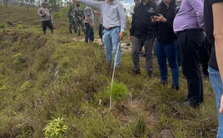 Investor Vietnam Tinjau Lahan 12.000 Ha di Napu