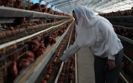 Harga Telur Terpantau Sedikit Lebih Tinggi