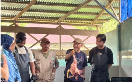 Kemenag Poso Dampingi Audit Halal di Rumah Potong Unggas