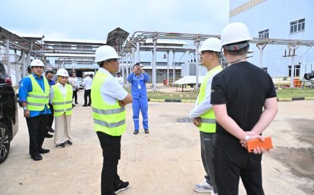 Gubernur Prihatin PT Wangsiang di Morowali Berhenti Beroperasi