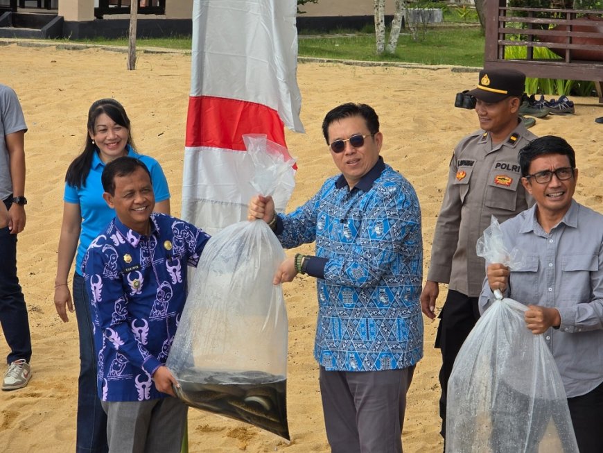 Restocking 5.000 Sidat di Danau Poso jadi Langkah Strategis Perkuat Keberlanjutan Ekosistem