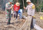 Polsek Lage Tanam Jagung, Dukung Ketahanan Pangan
