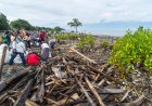 Warga Palu Selamatkan Mangrove dari Tumpukan Sampah