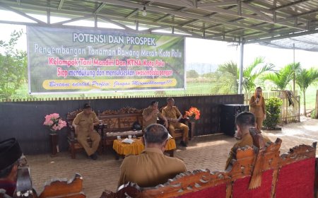 Petani di Petobo Mulai Tanam Bawang Merah