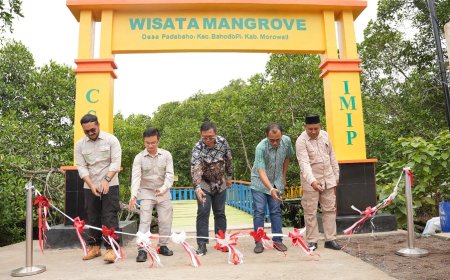CSR IMIP Tuntaskan Pembangunan Desa Wisata Mangrove Padabaho