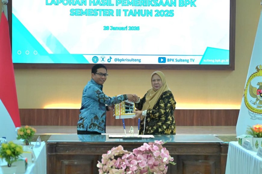 Wagub Sulteng Terima LHP BPK, 11 Temuan Tambang Jadi Sorotan