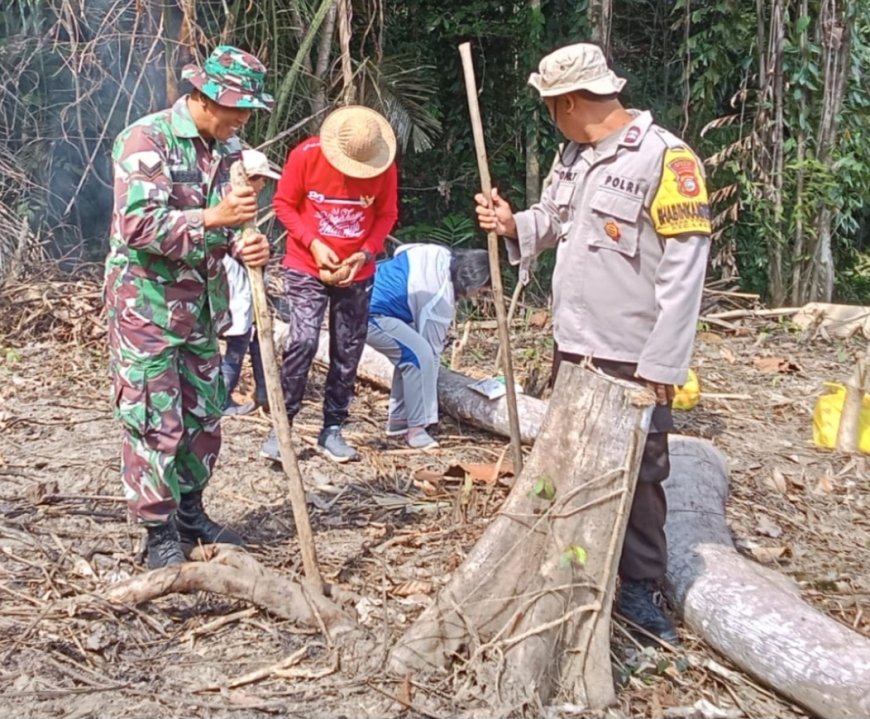 Polsek Lage Tanam Jagung, Dukung Ketahanan Pangan