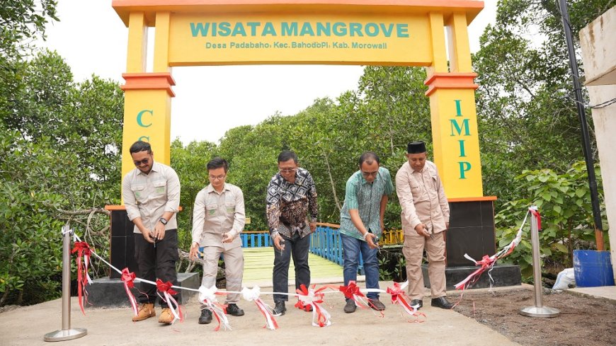 CSR IMIP Tuntaskan Pembangunan Desa Wisata Mangrove Padabaho