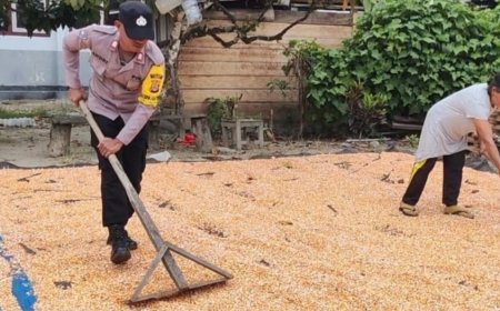 Bhabinkamtibmas Desa Alitupu Bantu Petani Jemur Jagung