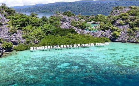 Perjalanan Wisatawan Nusantara ke Sulteng 2025 Tembus 11,57 Juta
