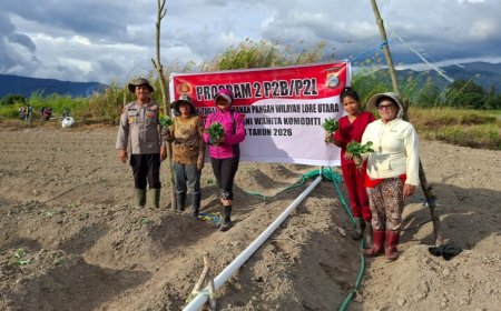 Polsek Lore Utara Tanam Kembang Kol di Desa Wuasa