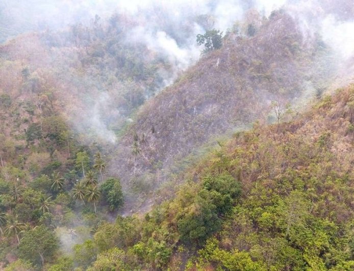 BPBD Kewalahan Atasi Karhutla di Parimo
