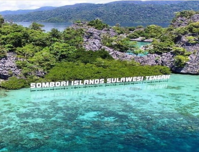 Perjalanan Wisatawan Nusantara ke Sulteng 2025 Tembus 11,57 Juta