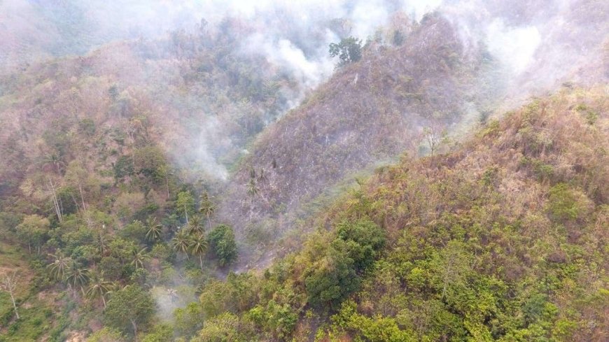 BPBD Kewalahan Atasi Karhutla di Parimo