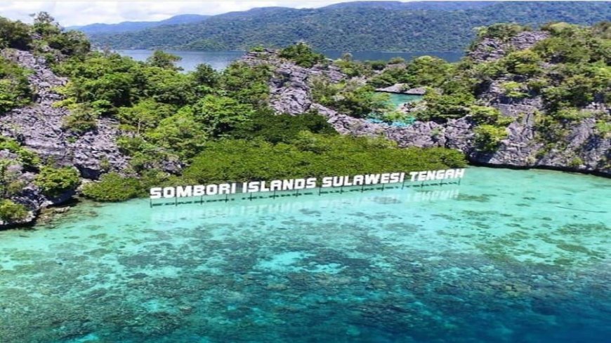 Perjalanan Wisatawan Nusantara ke Sulteng 2025 Tembus 11,57 Juta