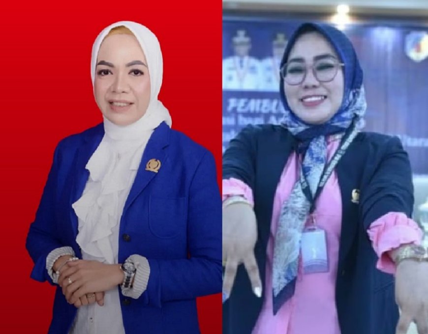 BK DPRD Donggala Bela Irianti, Heri Sebut Sudah Lampaui Batas