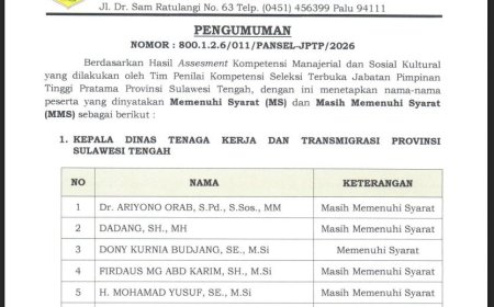 Berikut Hasil Lengkap Assesment Kompetensi Manajerial pada Lelang Jabatan Pemprov Sulteng, Ada Yang MS dan MMS