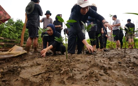 IMIP Tingkatkan Serapan Karbon, Target Reduksi Emisi