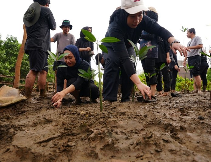 IMIP Tingkatkan Serapan Karbon, Target Reduksi Emisi
