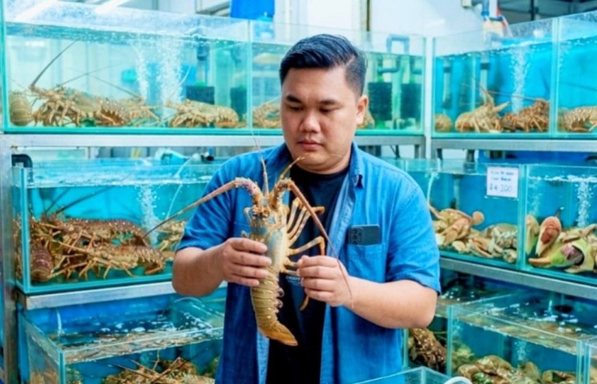 Potensi Lobster Sulawesi Tengah Sangat Besar, Saatnya Beralih dari Ketergantungan Tangkapan Alam ke Budidaya