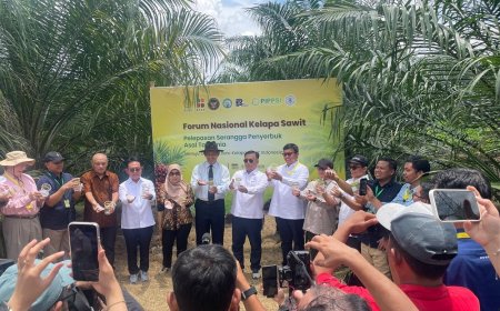 Serangga Penyerbuk Dilepas, Harapan Baru untuk Masa Depan Sawit Indonesia