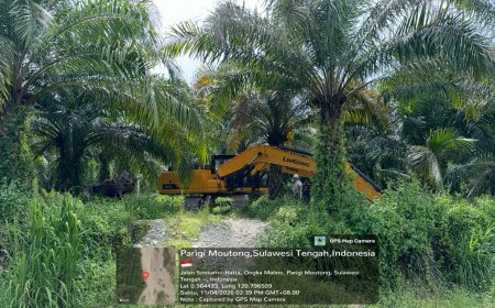 Penertiban PETI di Parigi Moutong, Polda Sulteng Amankan 7 Alat Berat