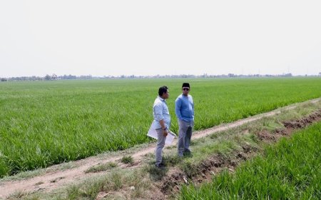 Tinjau Kawasan Industri di Indramayu, Menteri Nusron Pastikan Lahan Tidak Masuk ke LSD