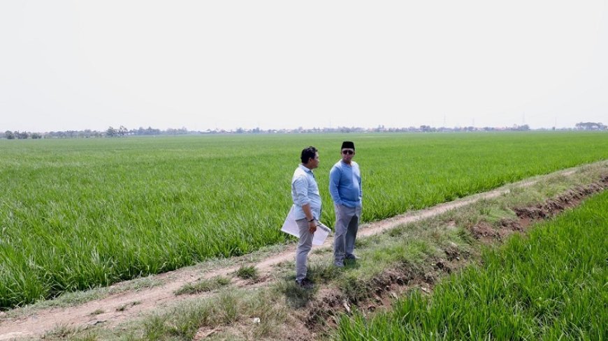 Tinjau Kawasan Industri di Indramayu, Menteri Nusron Pastikan Lahan Tidak Masuk ke LSD