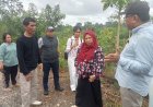 Wagub Reni Langsung Tinjau KPN Talaga, Gubernur Perintahkan Segera Bentuk Tim Percepatan