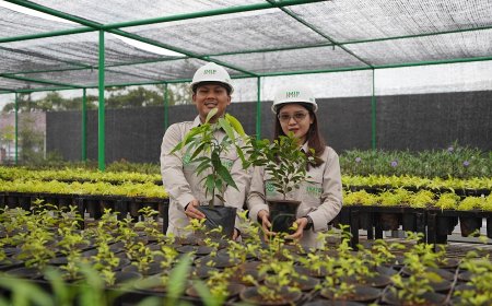 Sambut HLHS 2026, IMIP Wajibkan Tenant Buat RTH Seluas 10 Persen dari Lahan