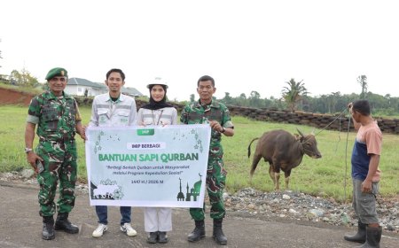 Jelang Idul Adha 1447 H, IMIP Salurkan Puluhan Hewan Kurban