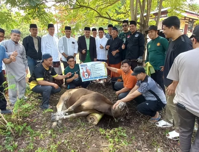 FKIP Untad Potong 12 Ekor Sapi Kurban, Daging Dibagikan ke Staf hingga Warga Sekitar