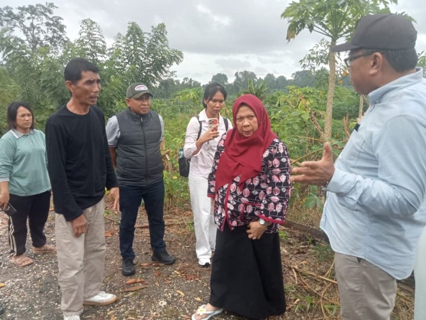 Wagub Reni Langsung Tinjau KPN Talaga, Gubernur Perintahkan Segera Bentuk Tim Percepatan