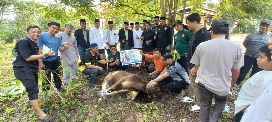 FKIP Untad Potong 12 Ekor Sapi Kurban, Daging Dibagikan ke Staf hingga Warga Sekitar