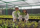 Sambut HLHS 2026, IMIP Jadikan RTH sebagai Kategori Lomba