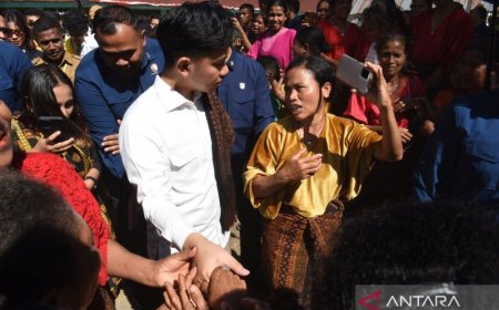 Wapres: Pemerintah Prioritaskan Revitalisasi Sekolah 3T Di Ende NTT