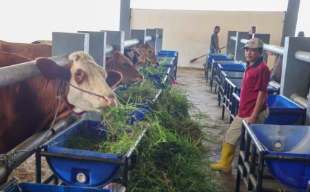 Menjaga Kepercayaan dari Ruang Potong