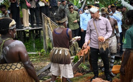 Wapres Tinjau Sekolah Lapang Sagu Asmat, Dukung Hilirisasi