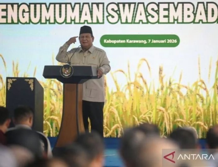 Strategi Indonesia Menuju Swasembada Pangan Berkelanjutan