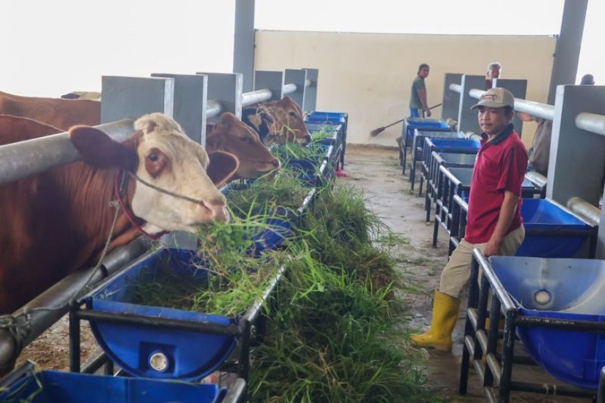 Menjaga Kepercayaan dari Ruang Potong